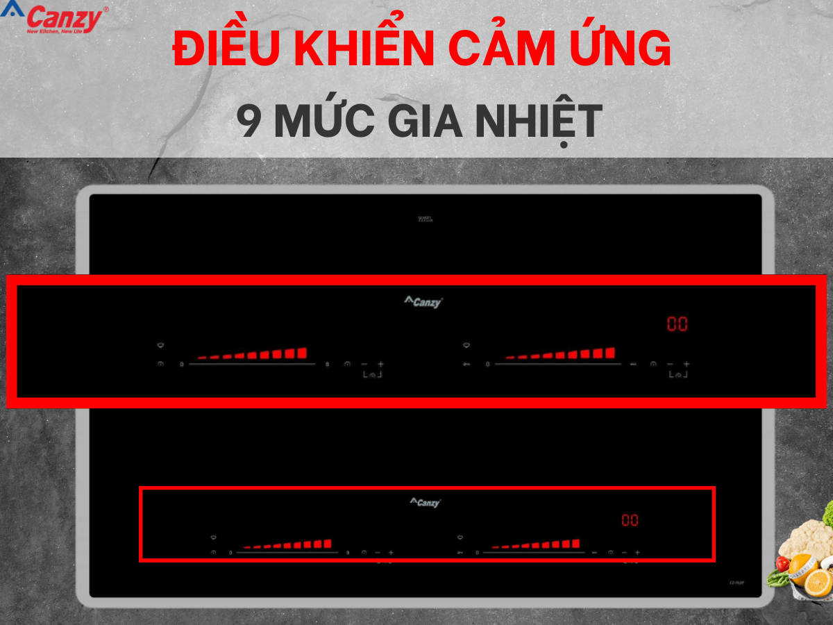 Bếp từ Canzy CZ 702IP