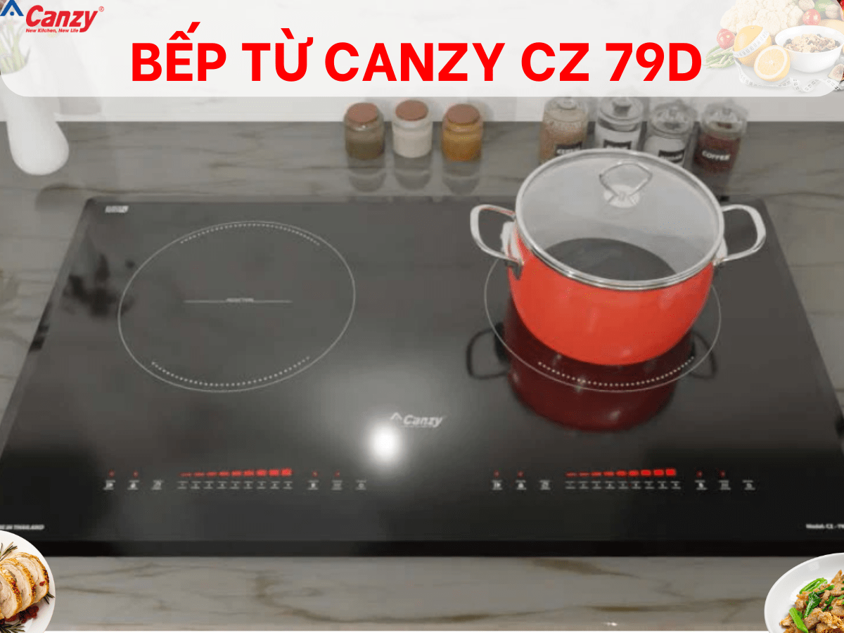 Bếp từ Canzy CZ 79D