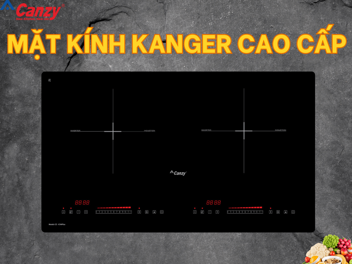 Bếp từ Canzy CZ IC99Plus