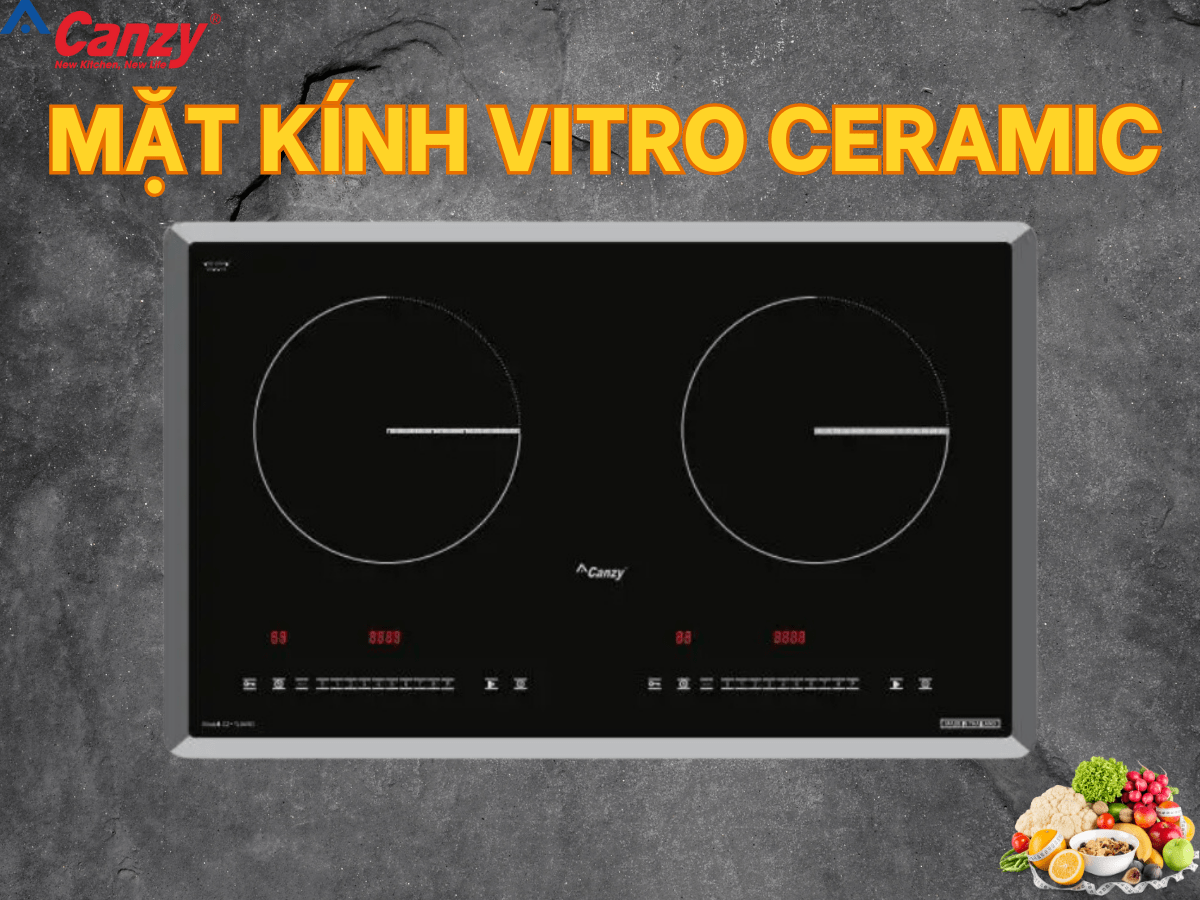 Bếp từ Canzy CZ TL869D