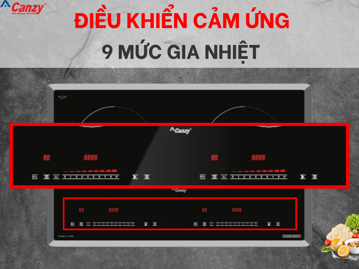 Bếp từ Canzy CZ TL869D