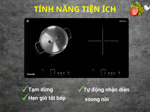 Bếp từ Dmestik AM-D203