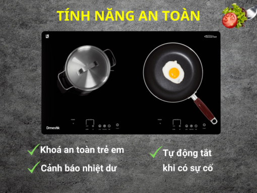 Bếp từ Dmestik AM-D203