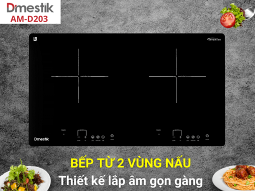 Bếp từ Dmestik AM-D203