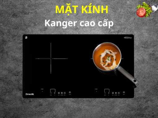 Bếp từ Dmestik AM-D203