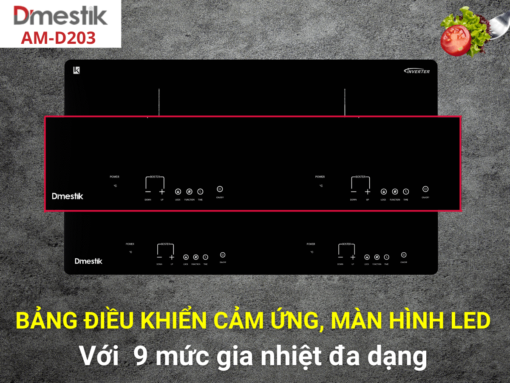 Bếp từ Dmestik AM-D203