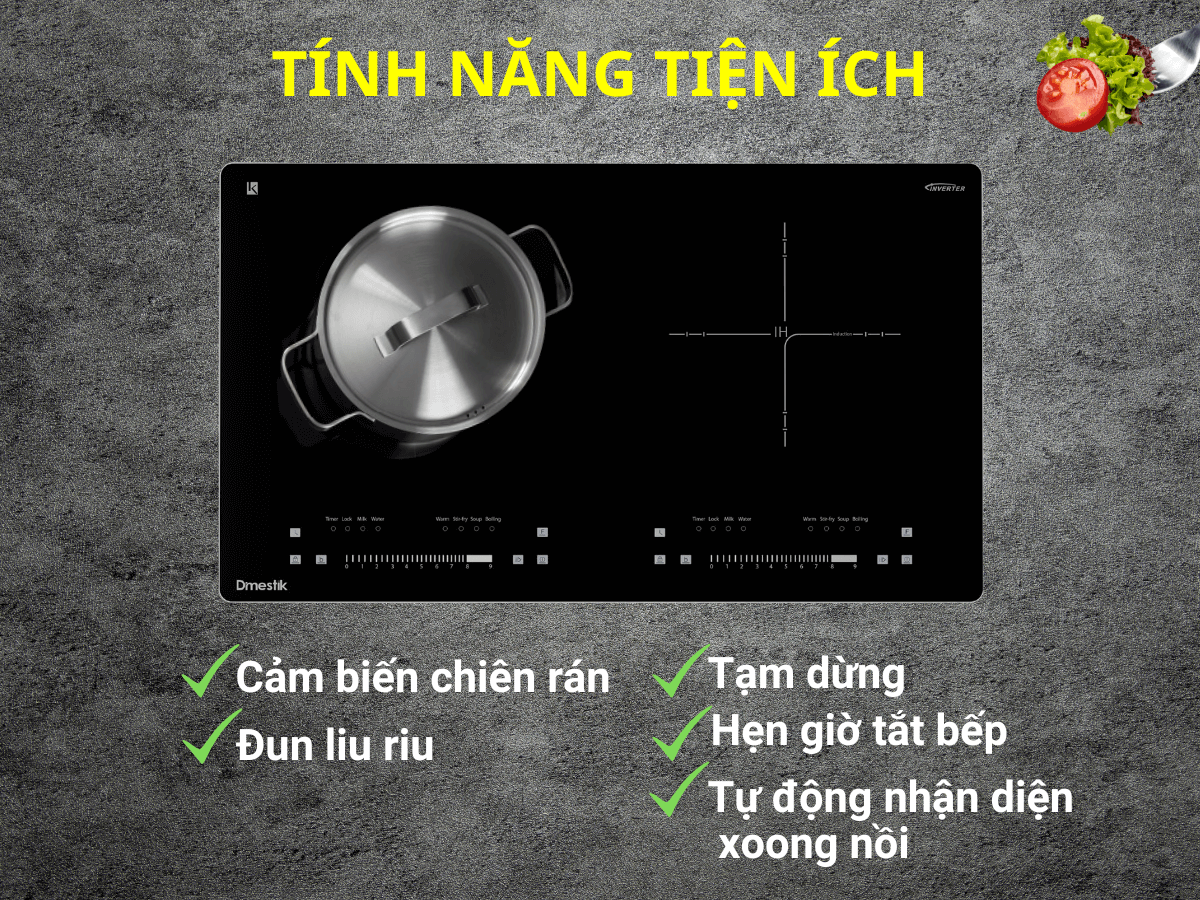 Bếp từ Dmestik AM-D216