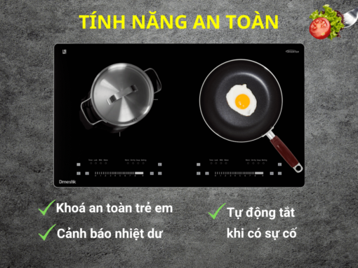 bếp từ dmestik am-d216 (4) Bếp từ Dmestik AM-D216