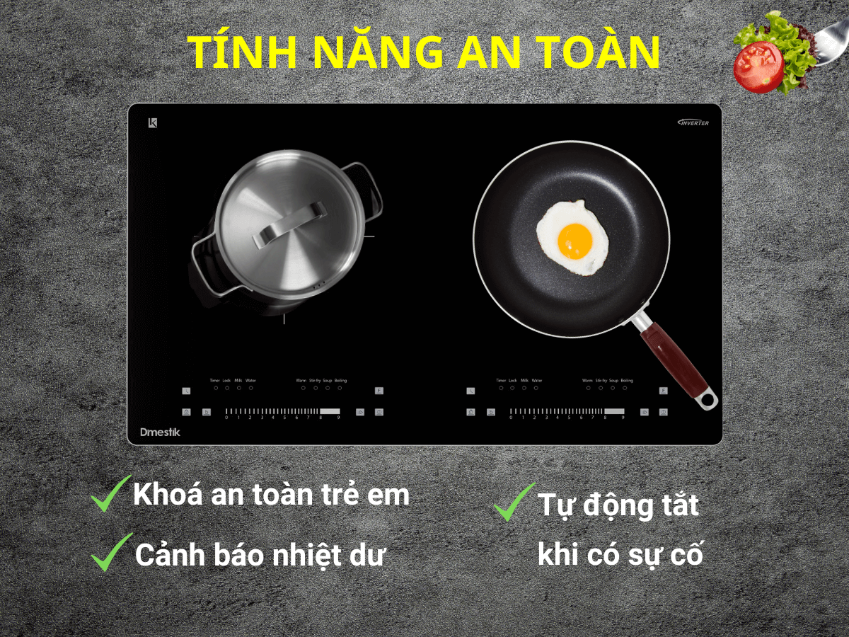 Bếp từ Dmestik AM-D216