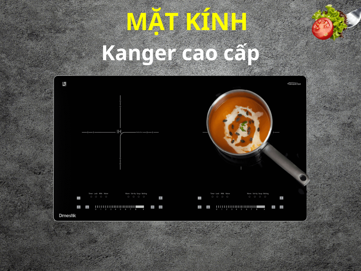 Bếp từ Dmestik AM-D216