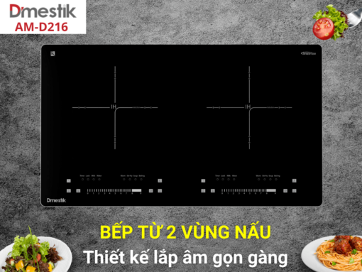 bếp từ dmestik am-d216 Bếp từ Dmestik AM-D216