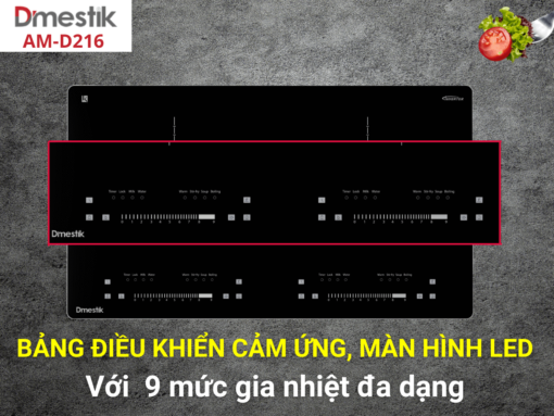 bếp từ dmestik am-d216 (6) Bếp từ Dmestik AM-D216