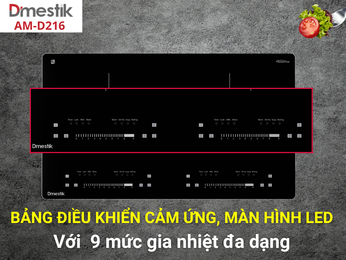 Bếp từ Dmestik AM-D216