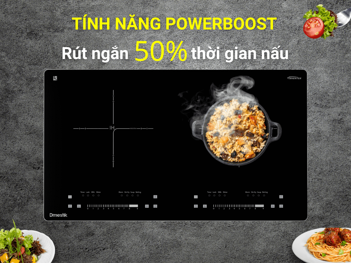 Bếp từ Dmestik AM-D216