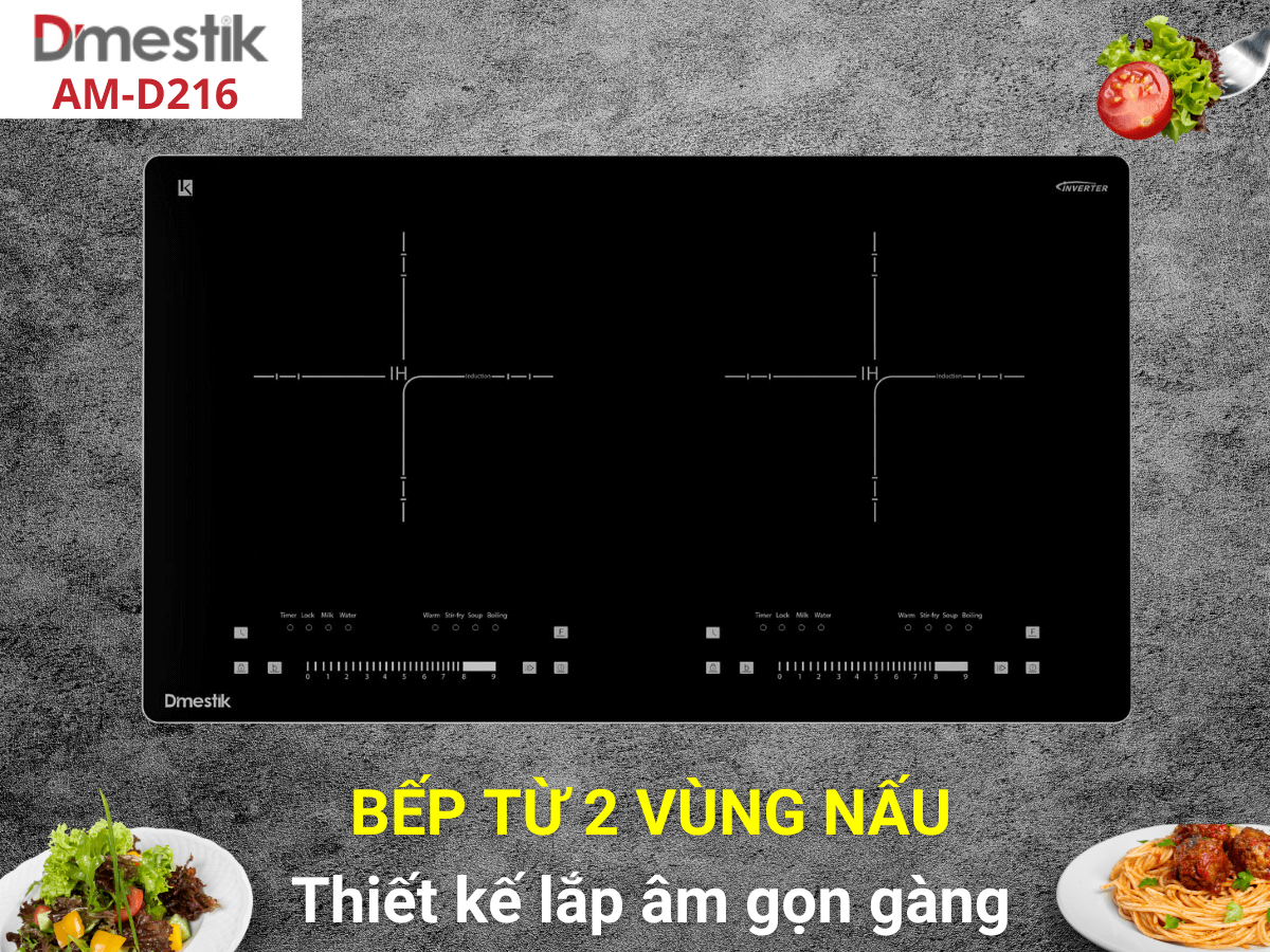 Bếp từ Dmestik AM-D216