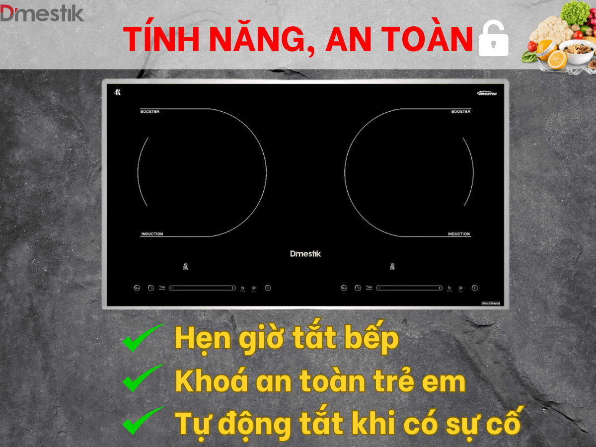 Bếp từ Dmestik ML233 DKI