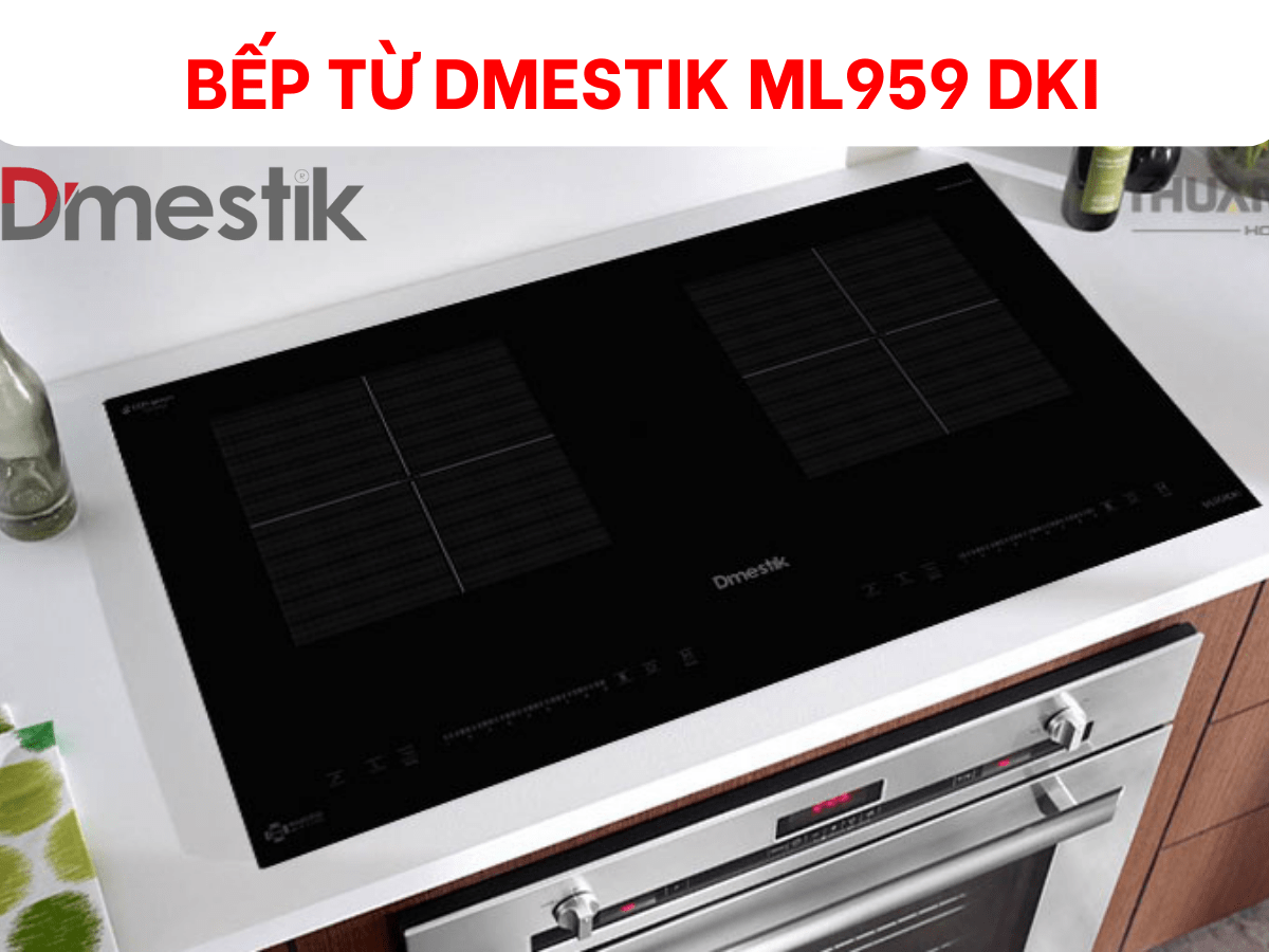 Bếp từ Dmestik ML959 DKI