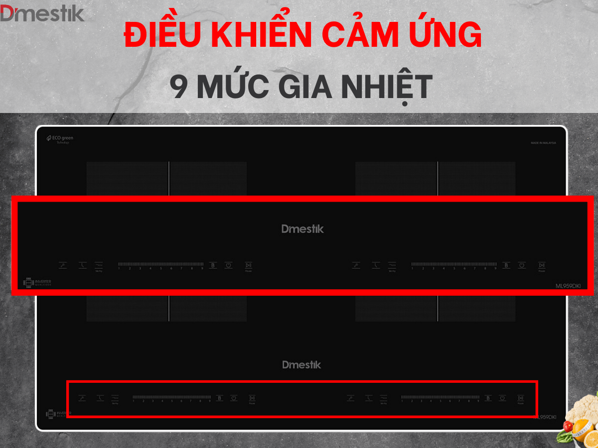 Bếp từ Dmestik ML959 DKI