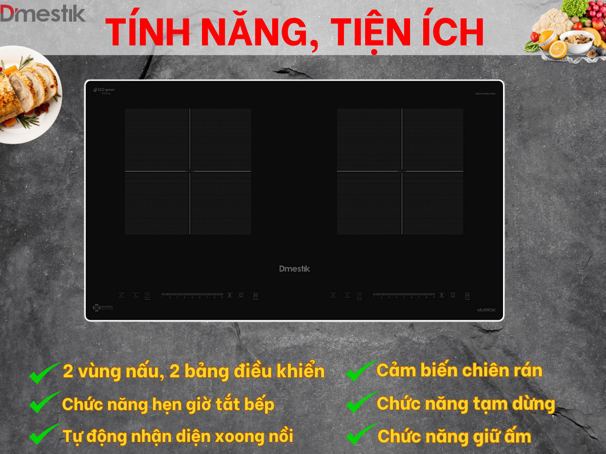 Bếp từ Dmestik ML959 DKI