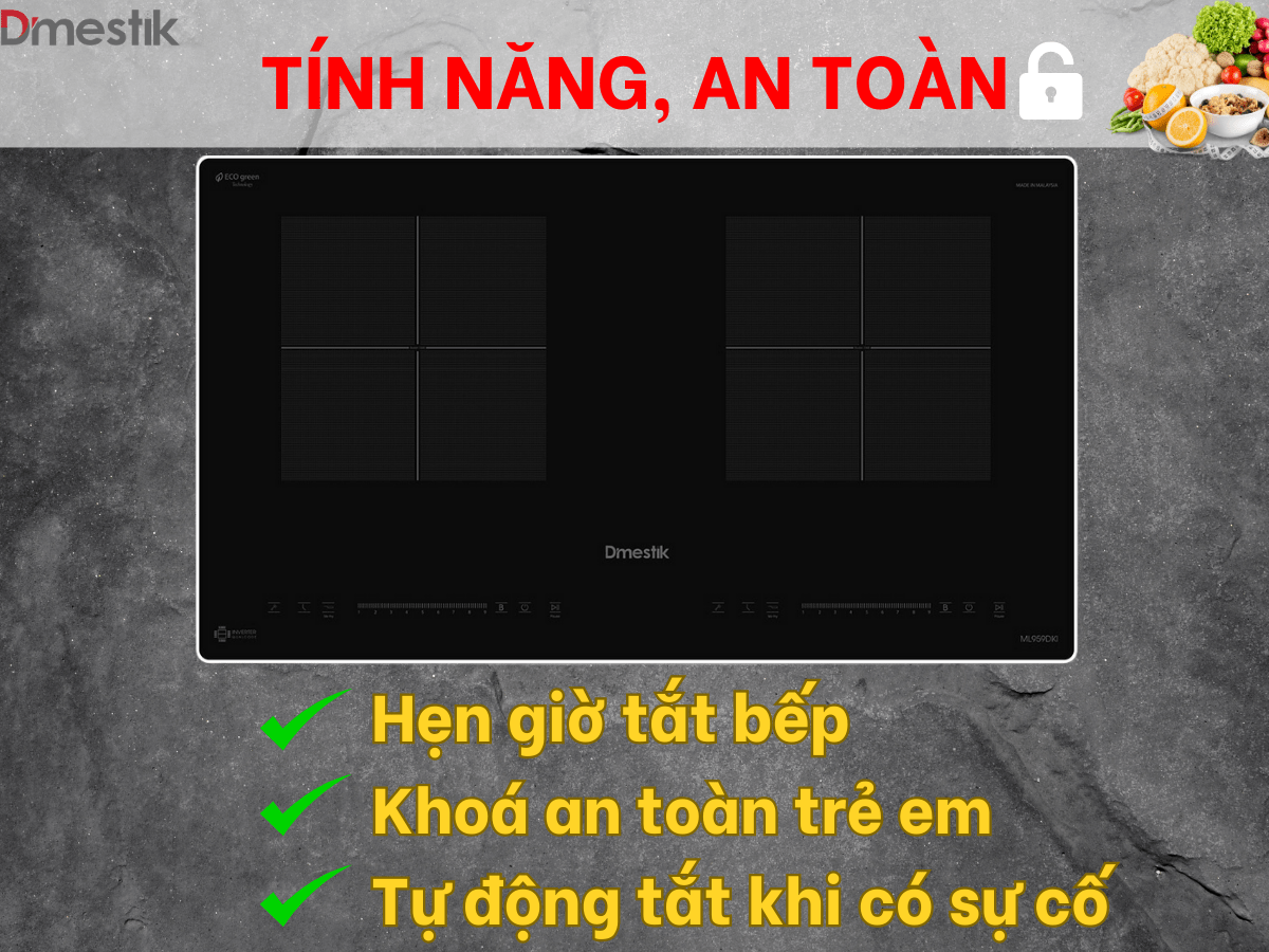 Bếp từ Dmestik ML959 DKI