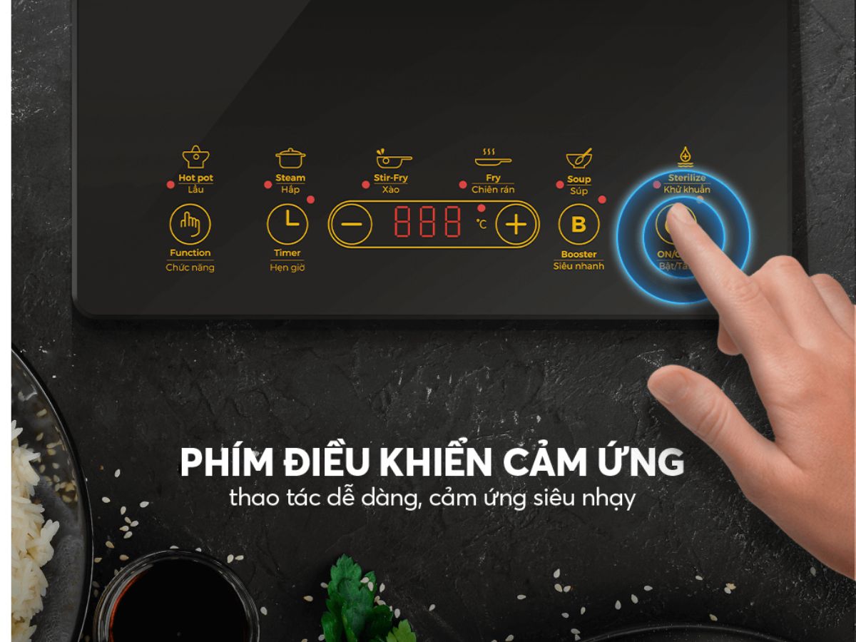 bếp từ elmich ice 3878