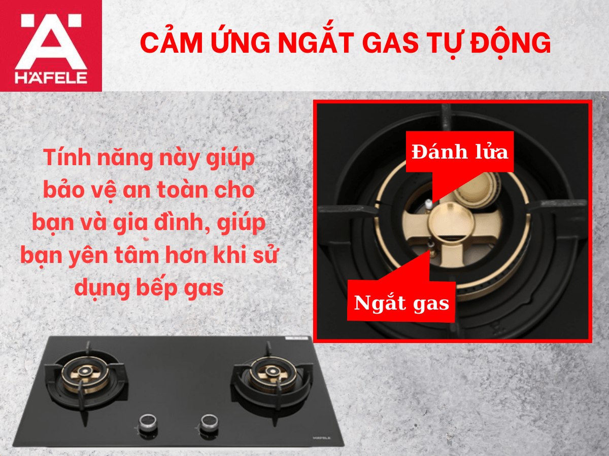 Bếp gas Hafele HC-G782B (538.66.507)
