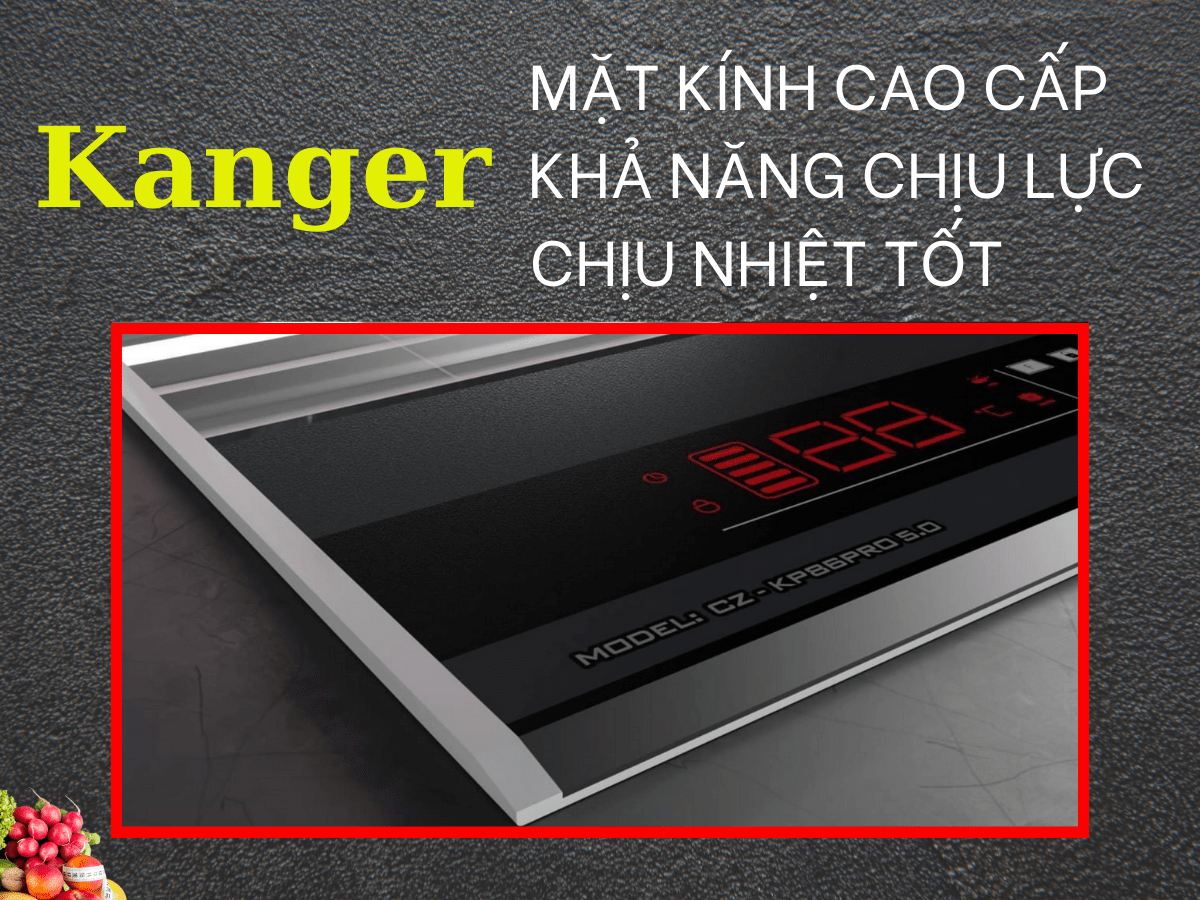 Bếp từ Canzy CZ-KP86 Pro 5.0