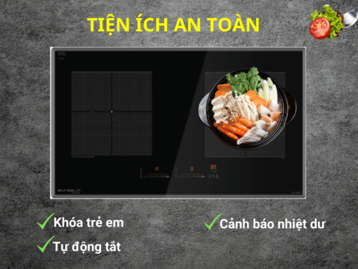 Bếp từ Eurosun EU-T888GE