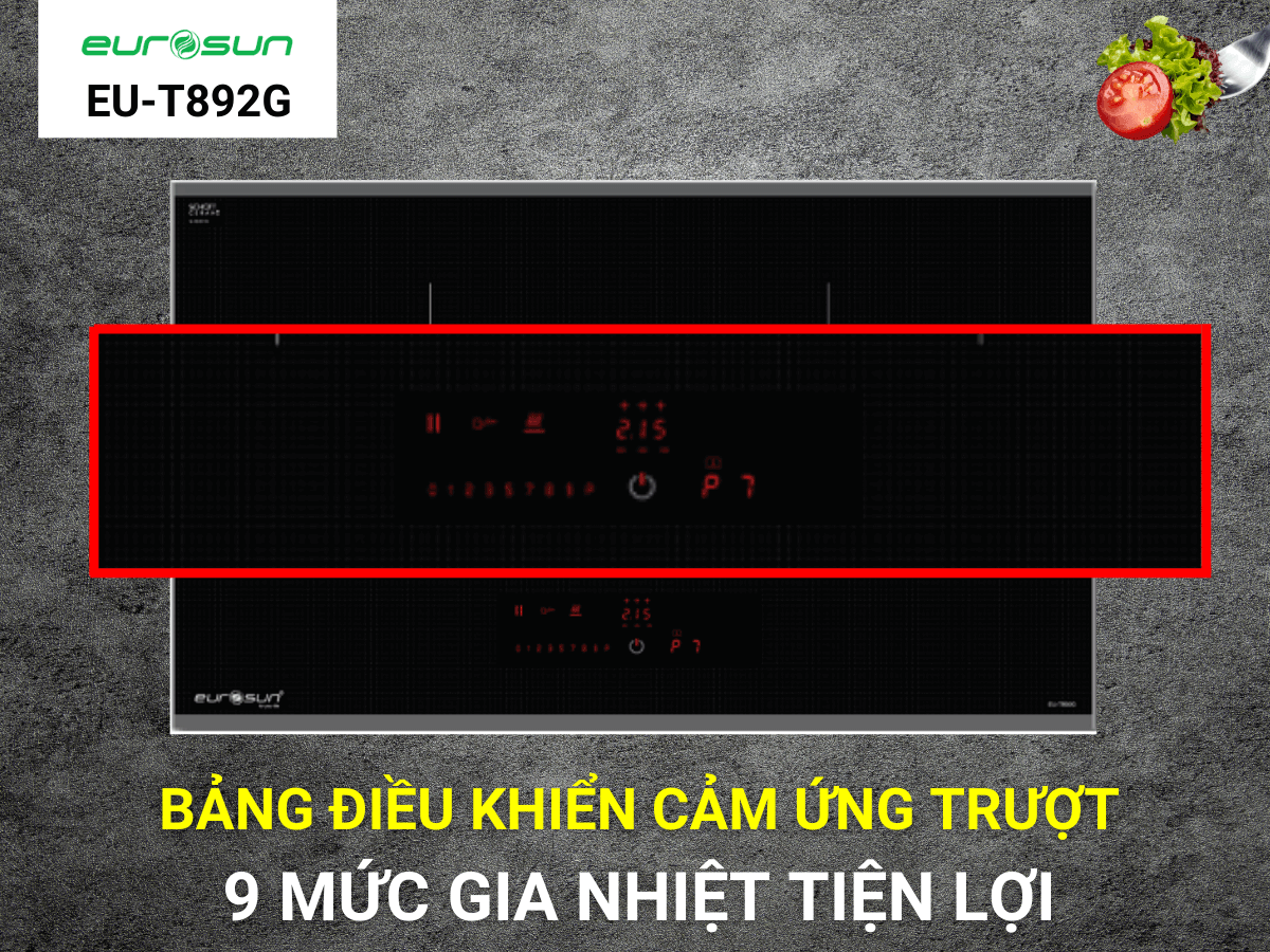 Bếp từ Eurosun EU-T892G