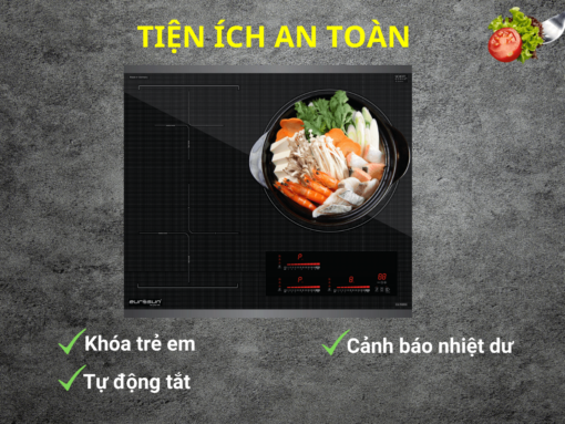 Bếp từ Eurosun EU-T905G