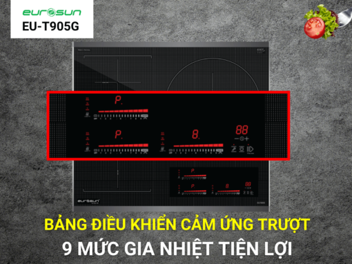 Bếp từ Eurosun EU-T905G