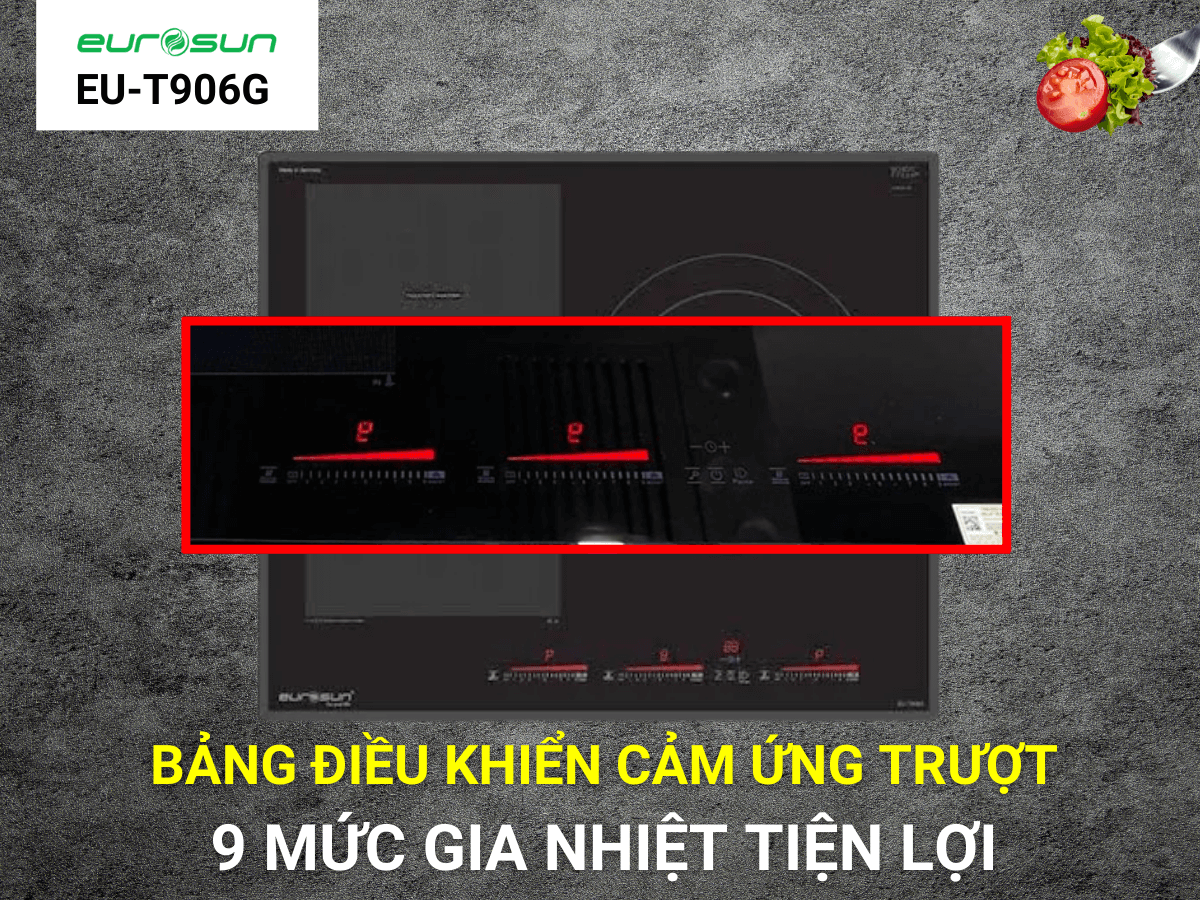 Bếp từ Eurosun EU-T906G