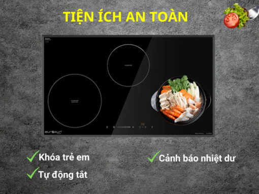 Bếp từ Eurosun EU-TE881G