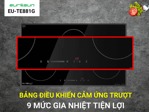 Bếp từ Eurosun EU-TE881G