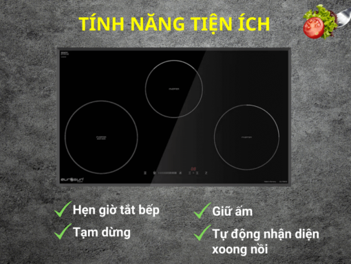 Bếp từ Eurosun EU-TE881G