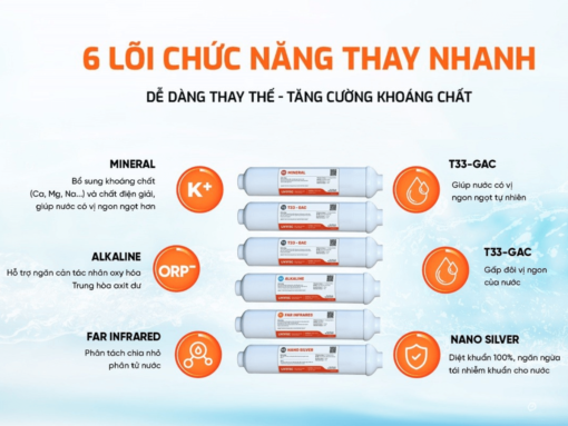 6 lõi lọc livotec