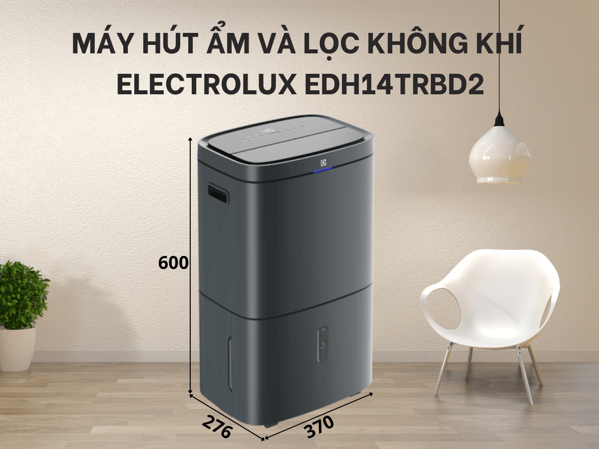 Máy hút ẩm kết hợp lọc không khí 2 trong 1 hiện đại, sang trọng