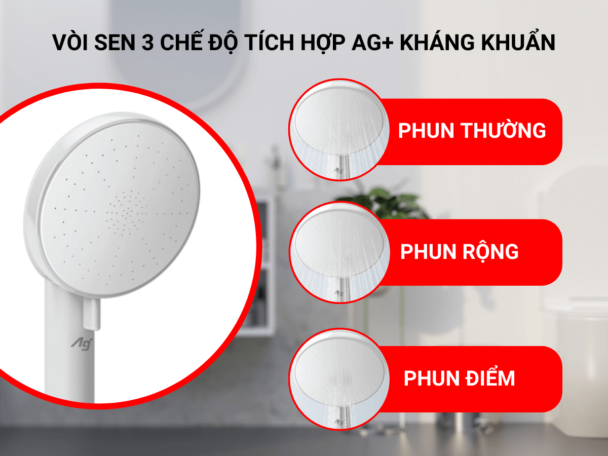 Máy nước nóng Panasonic DH-4US1VW