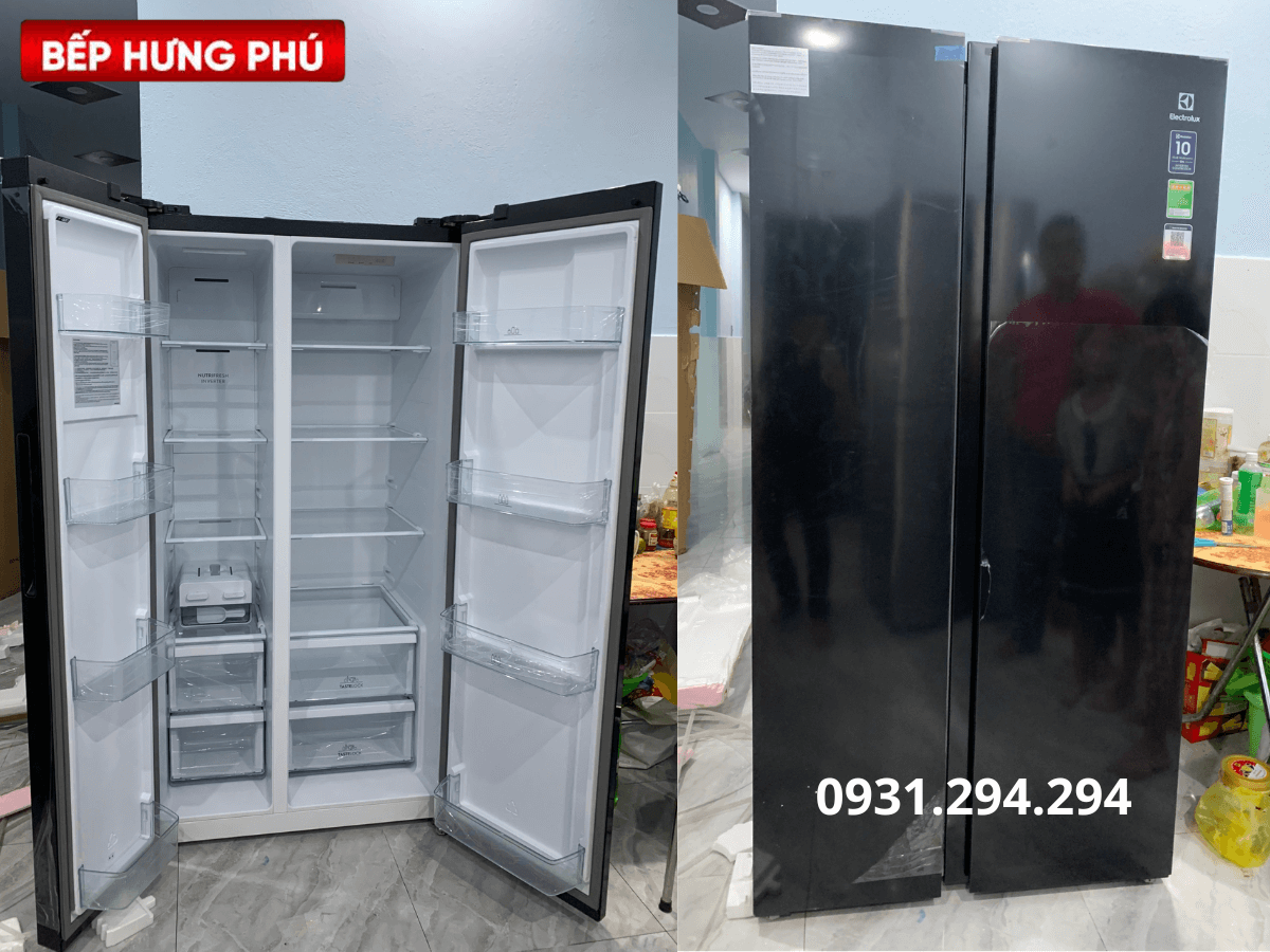 Tủ lạnh Electrolux ESE6600A-BVN