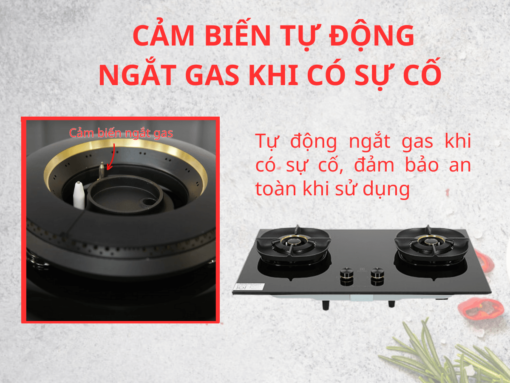 Bếp gas Electrolux EHG8251BC