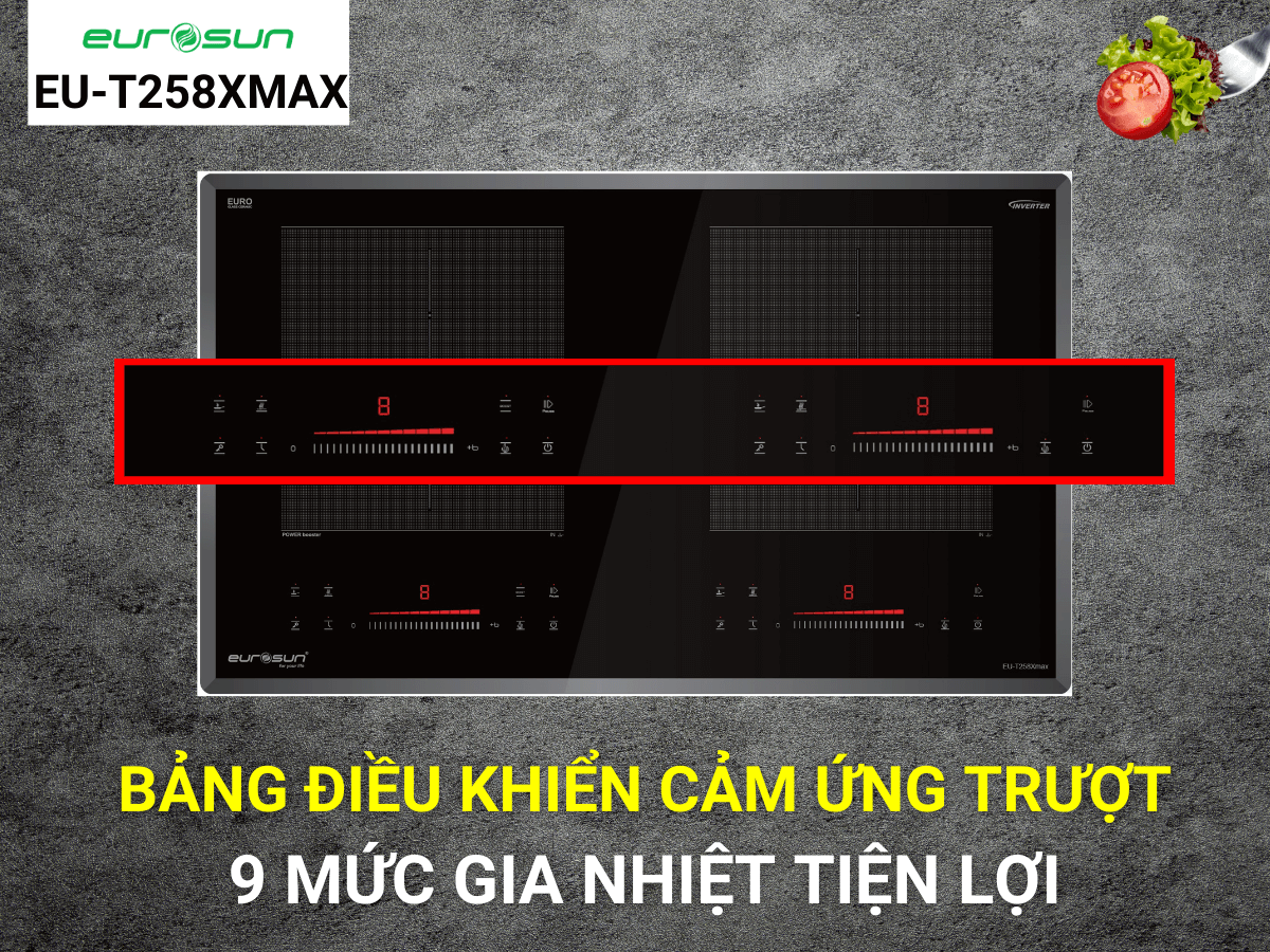 Bếp từ Eurosun EU-T258XMAX