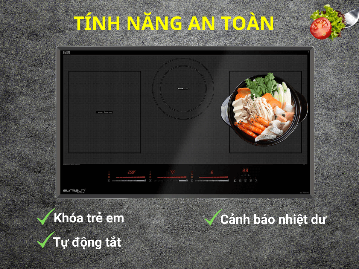 Bếp từ Eurosun EU-T396PRO