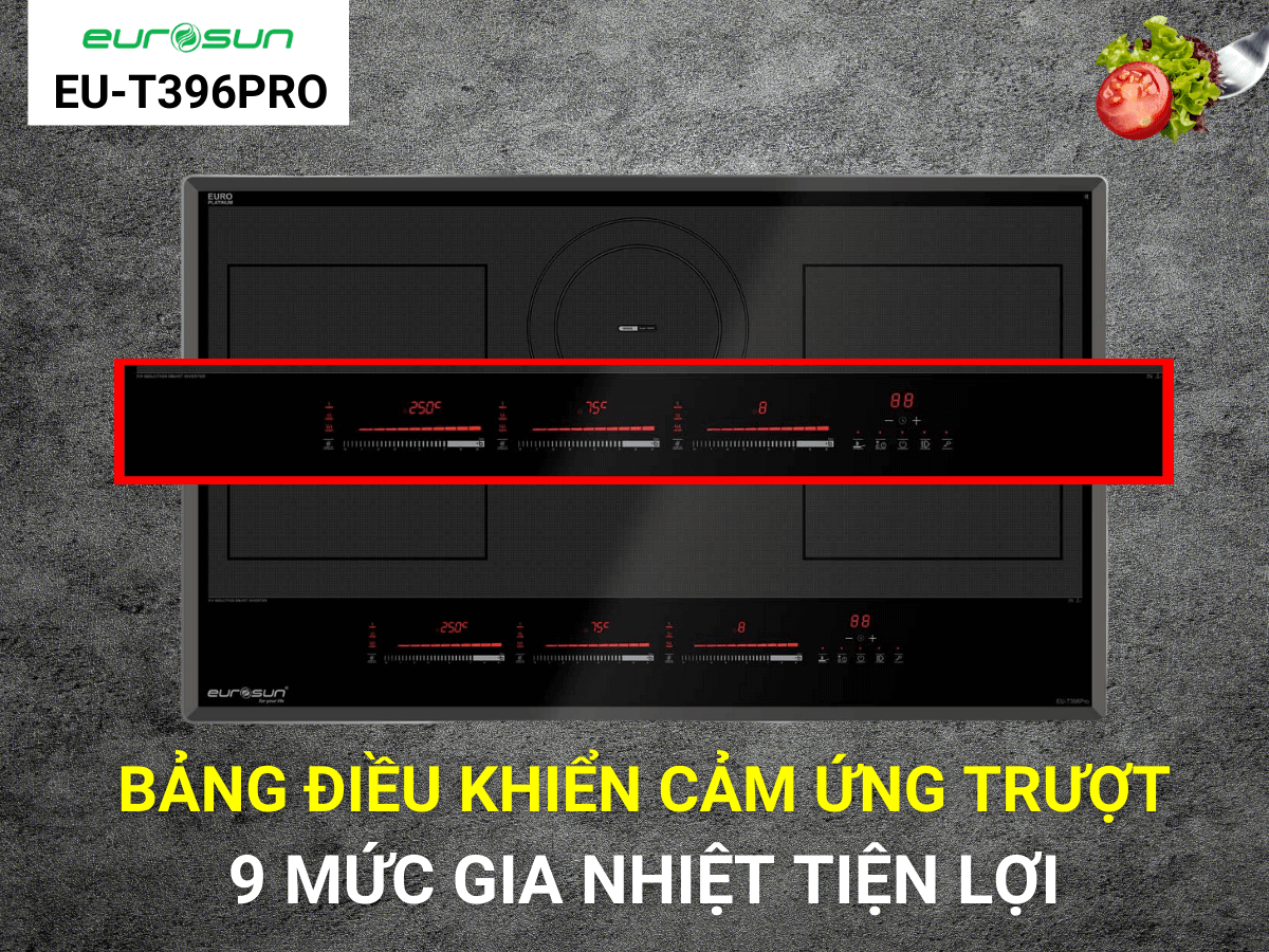 Bếp từ Eurosun EU-T396PRO