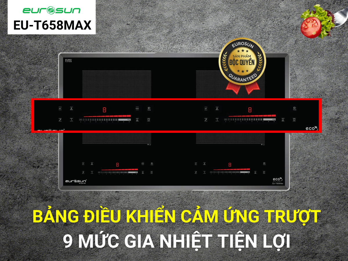 Bếp từ Eurosun EU-T658MAX