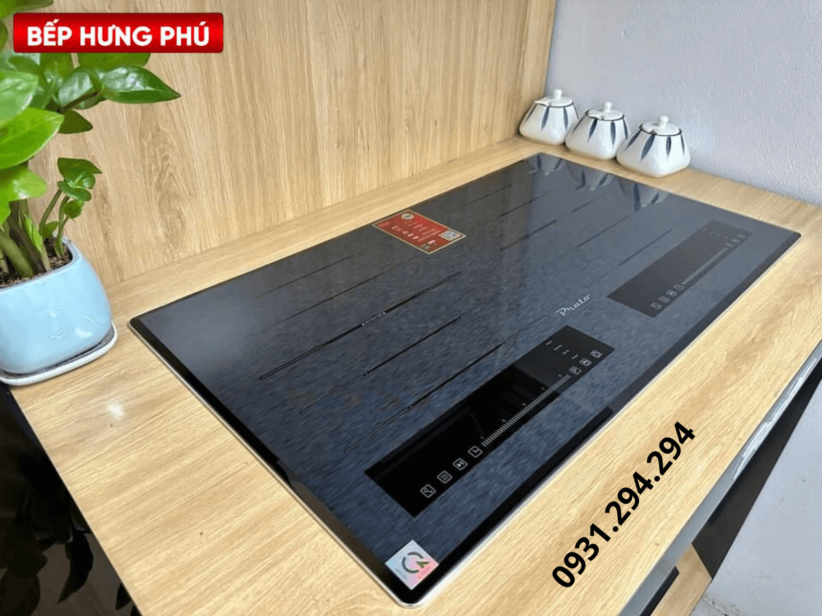 Bếp từ Eurosun EU-T658MAX