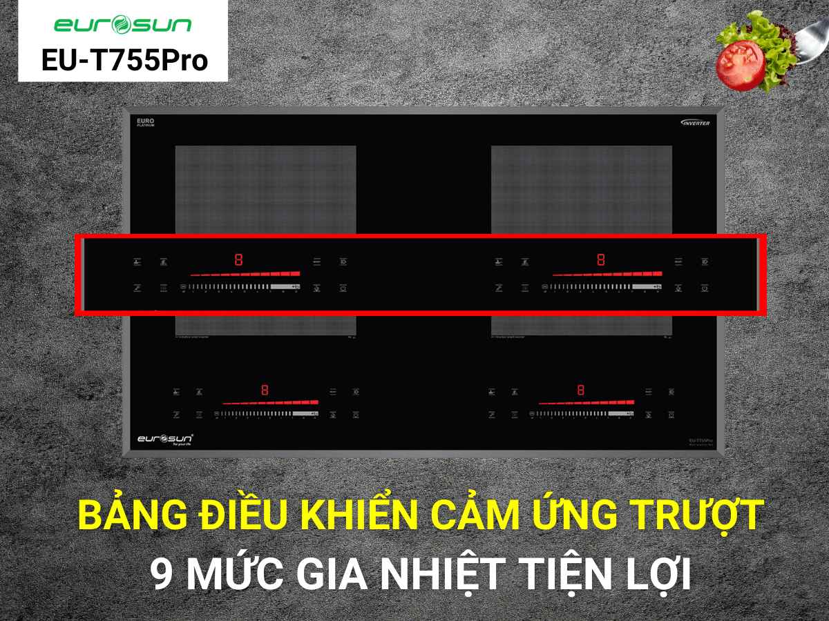 Bếp từ Eurosun EU-T755PRO