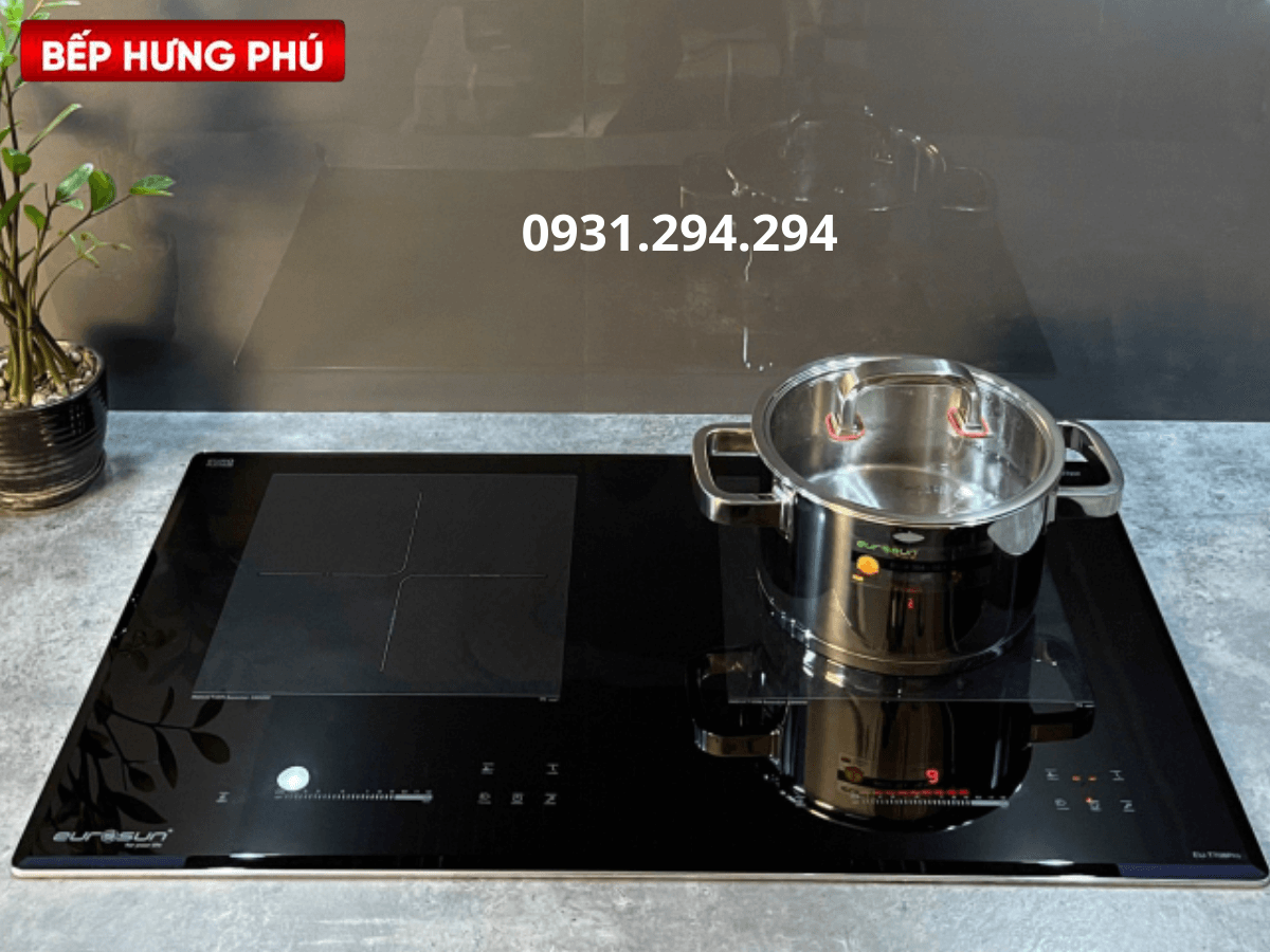 Bếp từ Eurosun EU-T798PRO