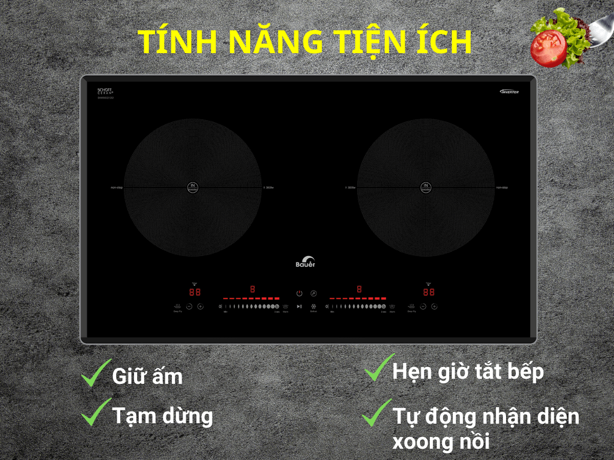 Bếp từ Bauer BE 619GTA