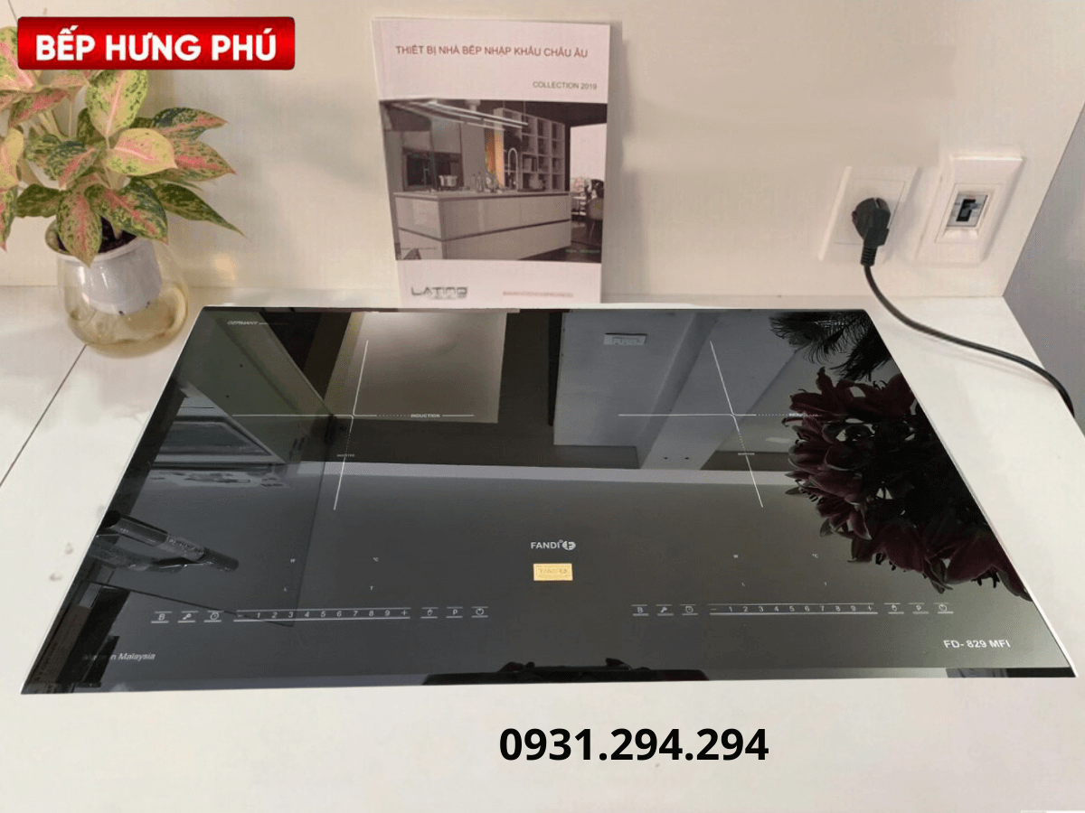 Bếp từ Fandi FD-829MFI