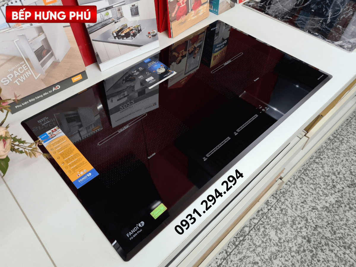Bếp từ Fandi FD-899 PLUS